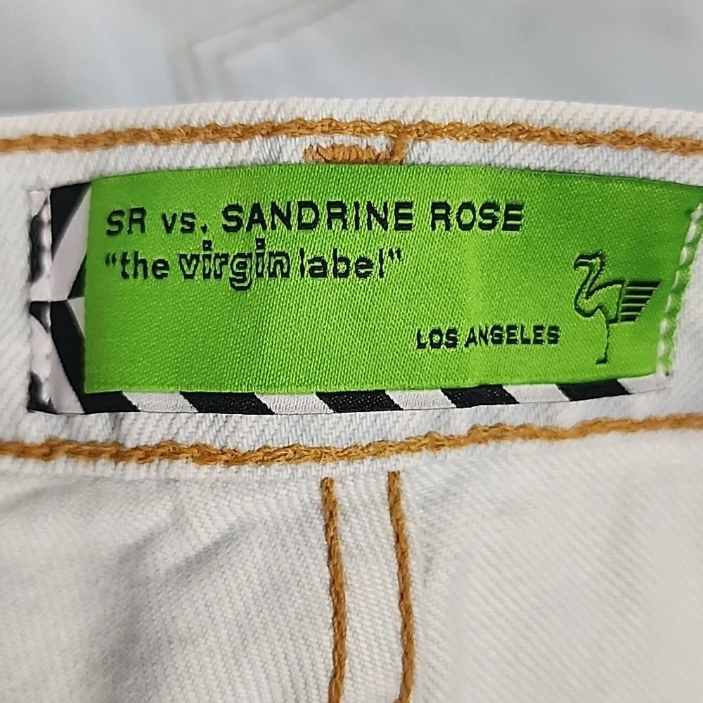 Sandrine Rose by Free People distressed Shorts with Side Zipper Size 25